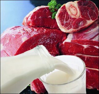 Белоруссия увеличит поставки молока и мяса в РФ