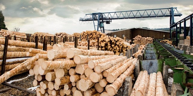 Китайская AVIC Forestry вложит в РФ 74,5 млрд рублей