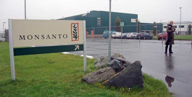 Мировой лидер по ГМО выплатит США штраф в $80 млн