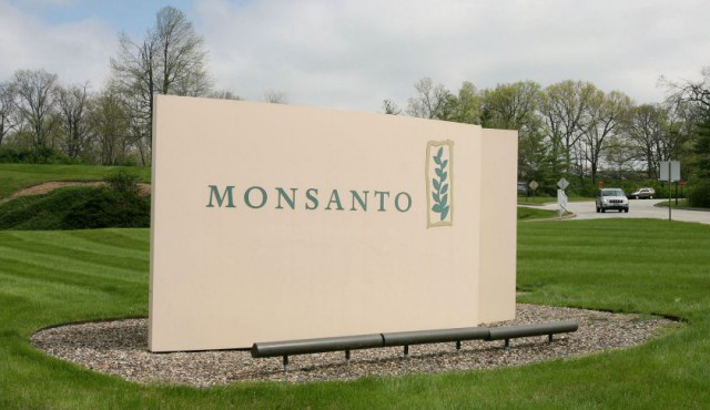 ГМО безвредно? Monsanto лоббирует свои интересы в ЕС