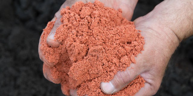 Белоруссия поставит Индии 700 тыс тонн калия