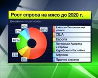 Цены на мясо в России должны снизиться