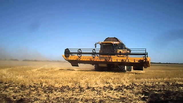 Рынок зерна: Австралия и Аргентина мешают России?