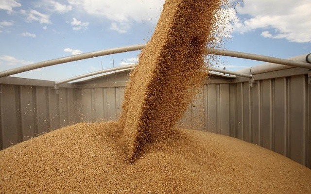 МЭР: Турция не подтверждает введение пошлин на зерно