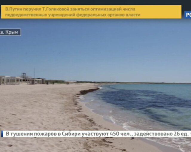 Санкциям вопреки. Как иностранный бизнес рвется в Крым Санкциям вопреки. Как иностранный бизнес рвется в Крым